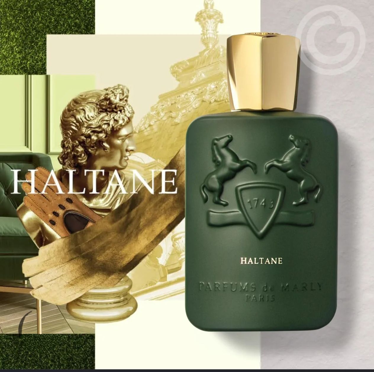 Perfume Lion of club Feroce 100ml