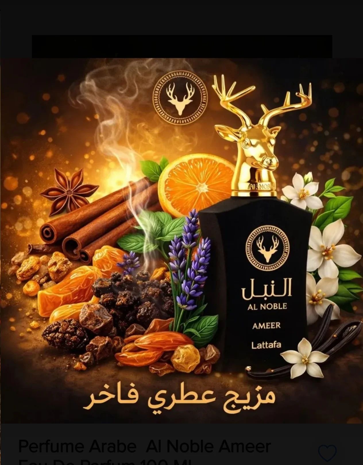 Perfume Al Noble Ameer 100Ml