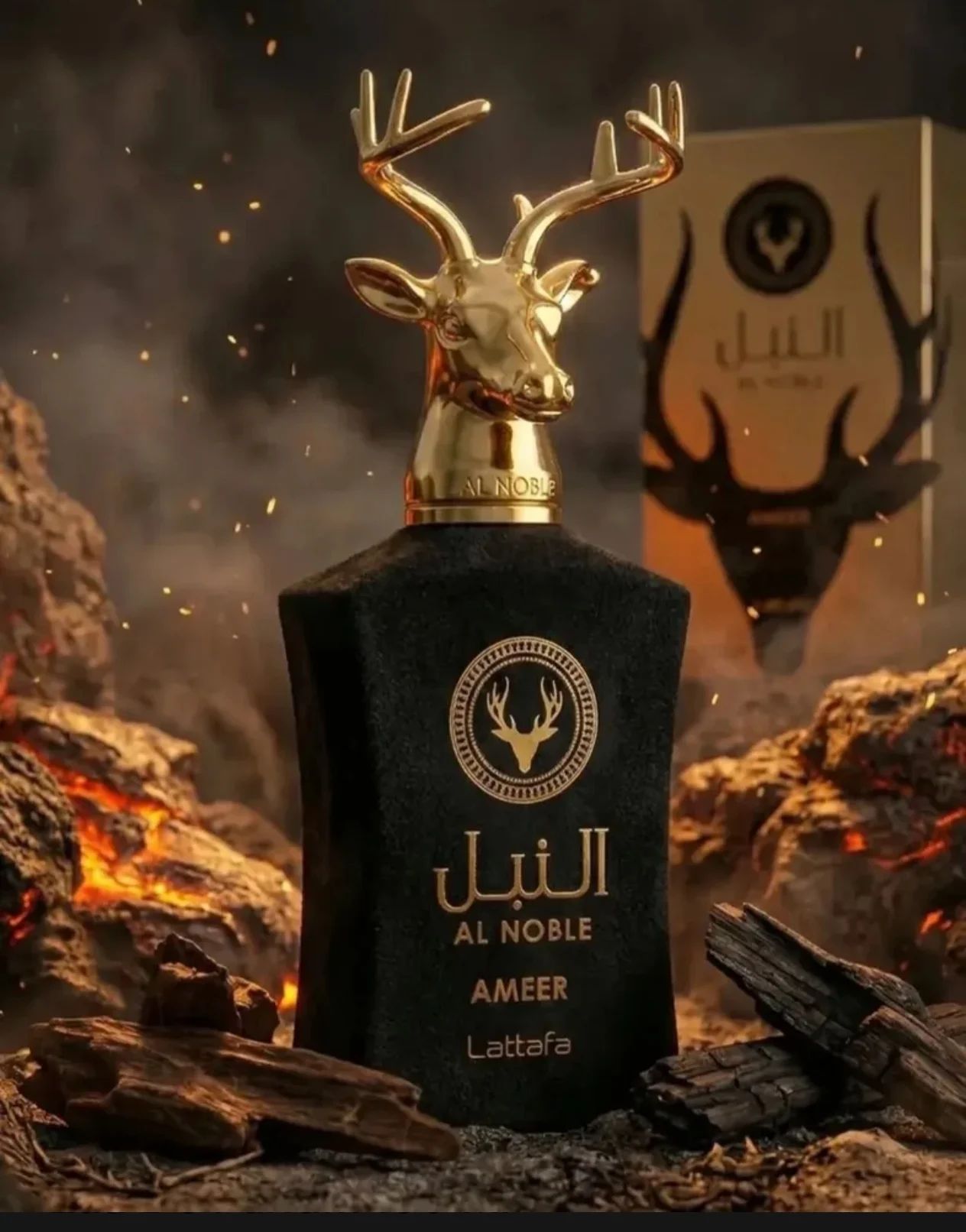 Perfume Al Noble Ameer 100Ml