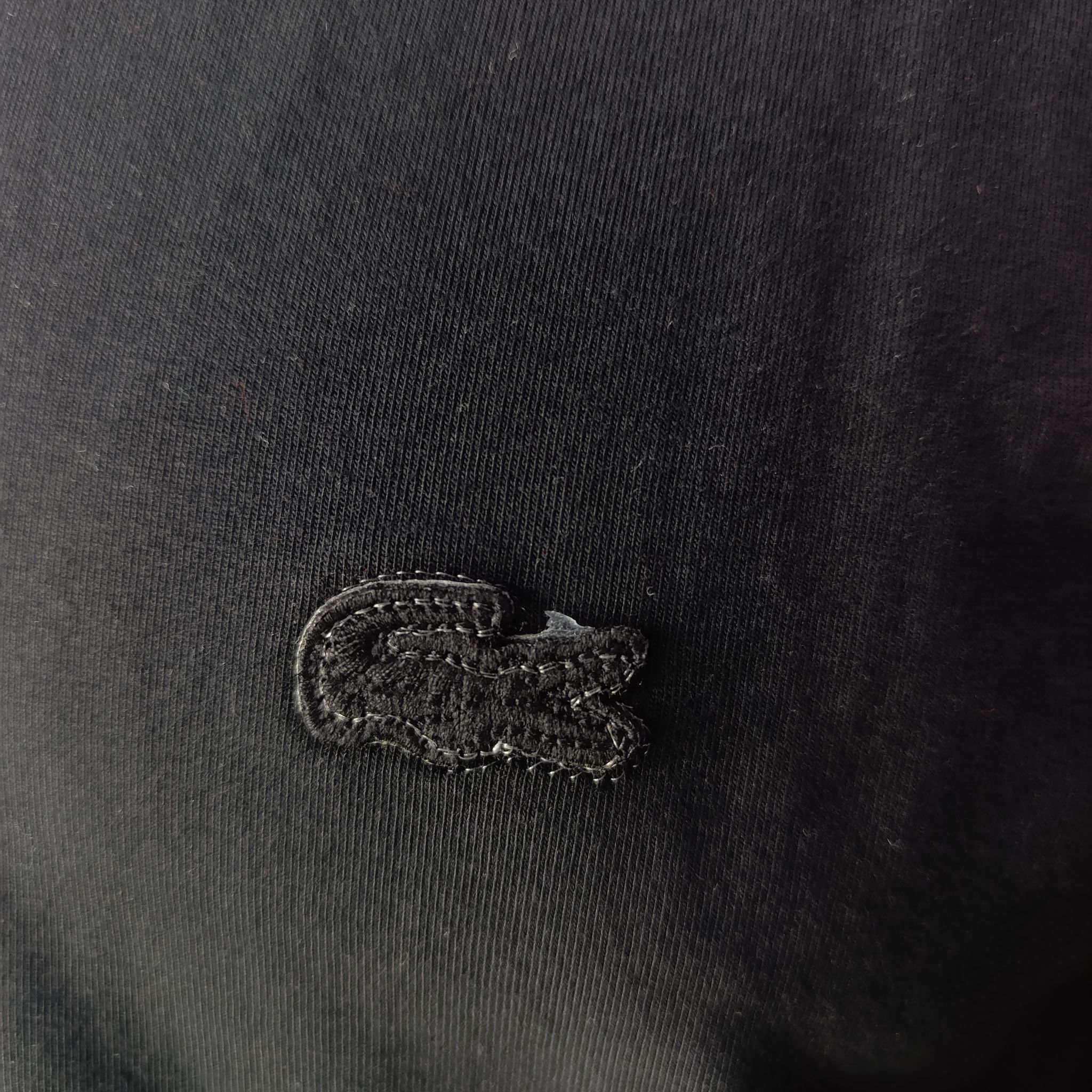 Camisa Peruana Básica - Lacoste