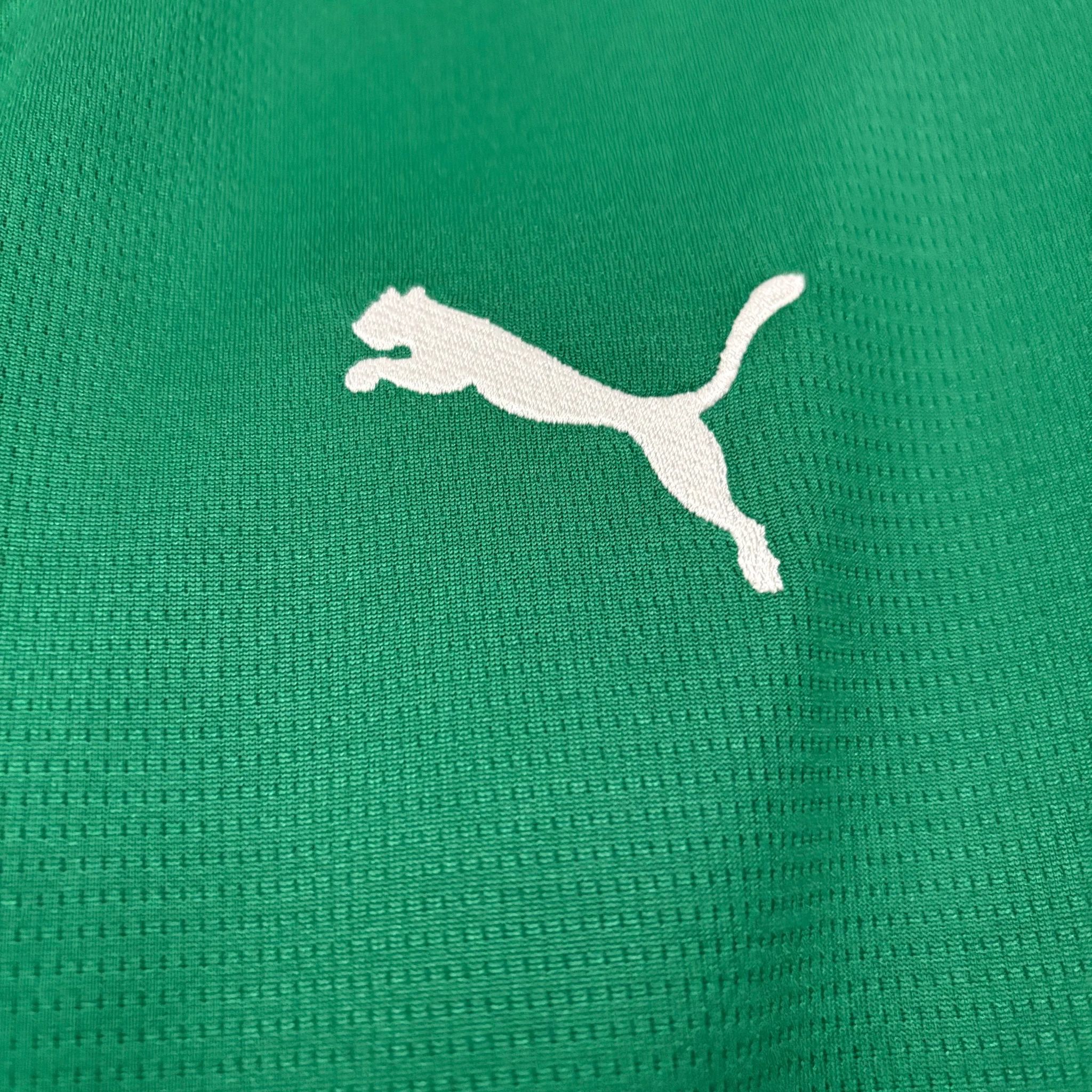 Camisa Palmeiras I - Tailandesa 1.1 - 26/27
