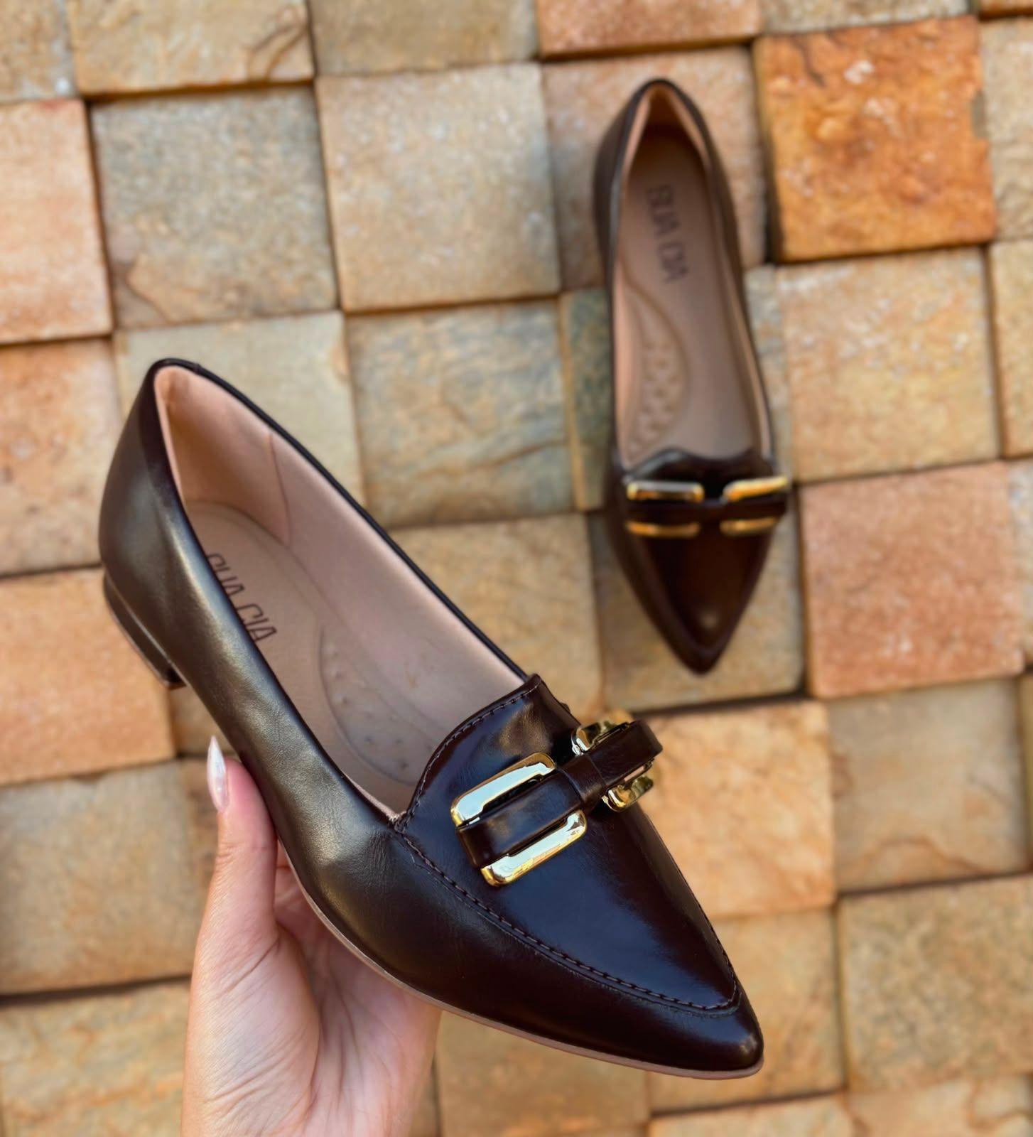 Sapato Scarpin Bico Fino Rasteiro Marrom