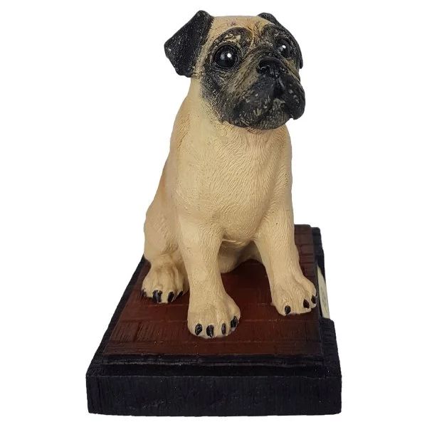 Miniatura Spitz Alemão