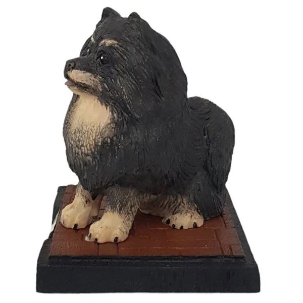 Miniatura Spitz Alemão