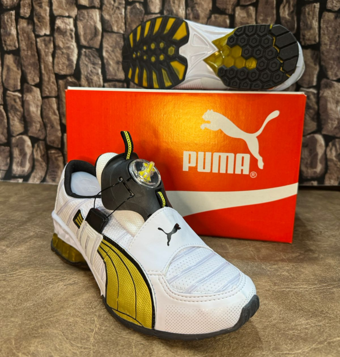 Puma Disk